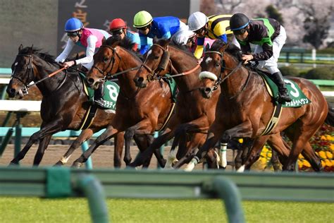 【一口馬主】快挙ッ！タイムトゥヘヴンくんダービー卿ct制覇＆ワタクシ重賞初勝利 馬也ホースレーシング