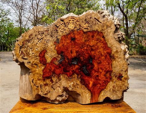 Rare Red Amboyna Burl Lumber Live Edge Diy Epoxy Resin Natural Slab