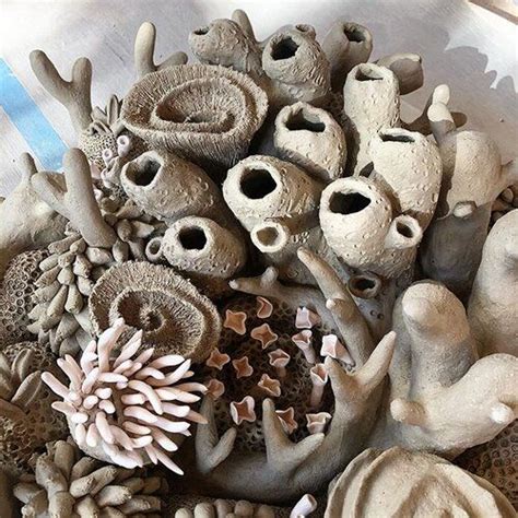 About — Courtney Mattison Ceramic Coral Reefs Coral Art Ceramic Texture