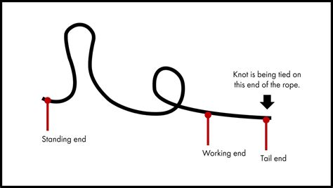 How To Tie A Figure 8 Double Loop Knot Carvosso Horlitted1976