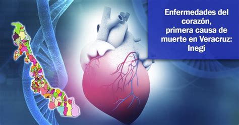 Enfermedades Del Corazón Primera Causa De Muerte En Veracruz Inegi