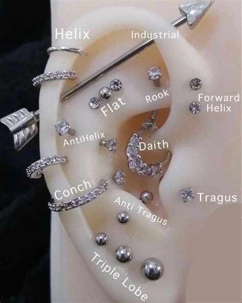 𝕭𝖗𝖚𝖓𝖆 𓂀 adlı kullanıcının Piercings panosundaki Pin Piercing