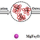 Schematic Illustration For The Fabrication Process Of The Unique