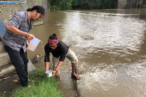 Mikroplastik Dan Limbah Cair Mencemari Sungai Sungai Di Bali Wisatahits