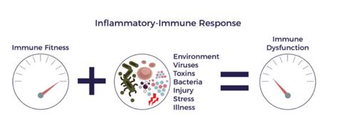 Ambrose Cell Therapy For Inflammatory Bowel Diseases Ibd