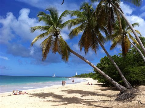 Martinique Plage Salines Atterrir