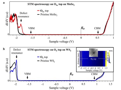 Scanning Tunnelling Spectroscopy Of Substitutional Oxygen In Chalcogen