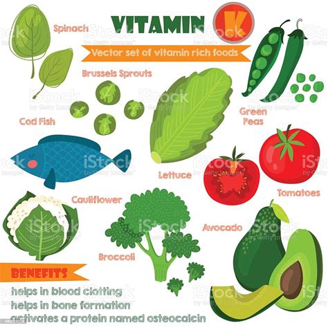 Vitamins And Minerals Foods Illustrator Set 12vector Set Of Vit Stock