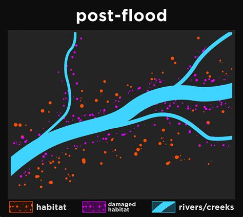 How January 2023 Flooding Could Affect Rattlesnakes - Placer Snake