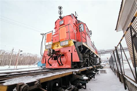 Поезд РЖД сбил трех лосей на территории Пермского края / VSE42.RU ...
