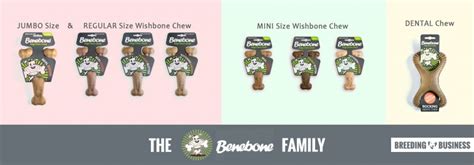 Benebone Review — Flavored Chew Toys (GET THE BACON!)