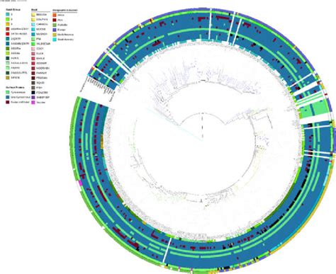 Core Gene Phylogenetic Tree Inferred With Coregenephylo From 511 Download Scientific Diagram