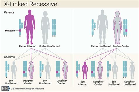 Complete Androgen Insensitivity Syndrome Causes Symptoms Diagnosis