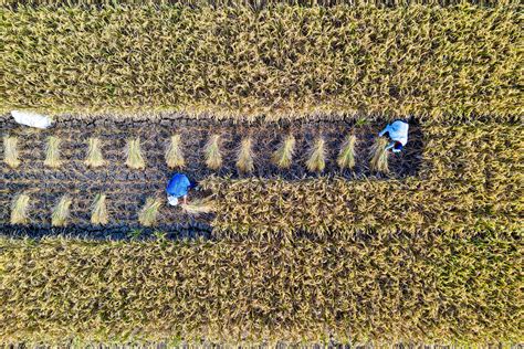 Climate Doomism is Bad Storytelling — The Beautiful Truth