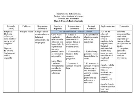 Ejemplo Plan De Cuidado