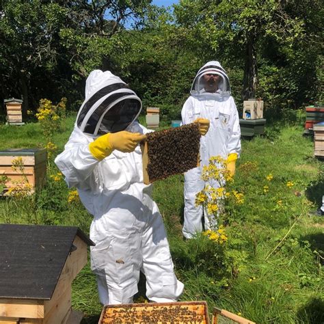 2025 New Beekeepers Training Course British Bee Charity