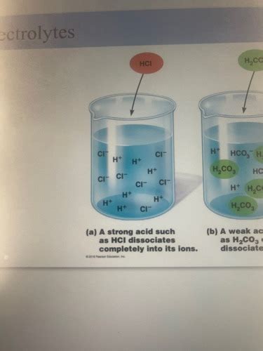 Fluid Electrolyte And Acid Base Balance Flashcards Quizlet