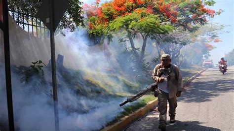 Atenea Gómez redobla esfuerzos para prevenir el dengue en Isla Mujeres