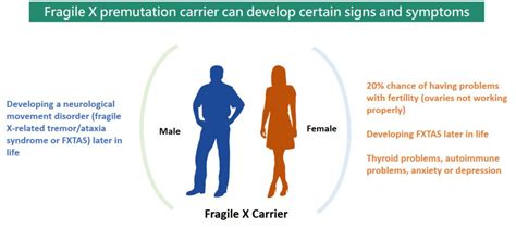 Fragile X Syndrome Fxs Carrier Testing Gga Malaysia