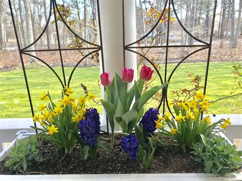 Front porch flower box | Porch flowers, Front porch flowers, Flower boxes