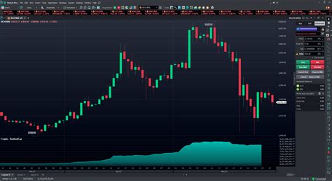 All You Need To Know About The Realized Cap Indicator Vector Crypto