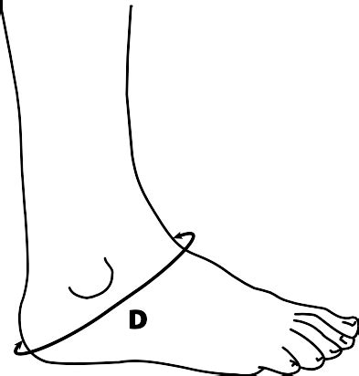 Knee-High Hose - Bio-Concepts