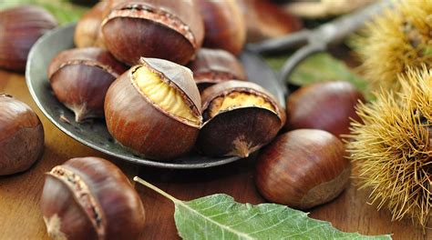 Scopri I Valori Nutrizionali Delle Castagne Le Caldarroste Senza Brace