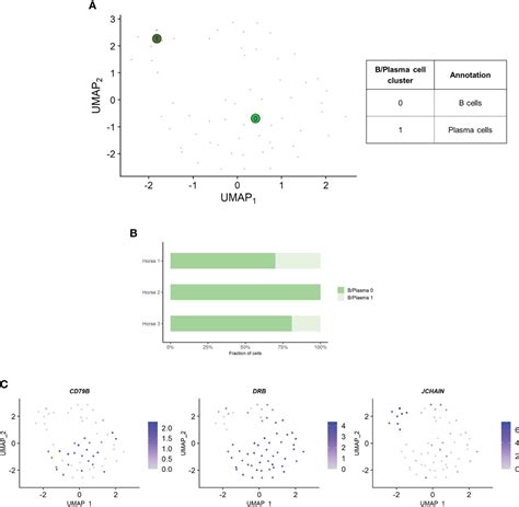 Frontiers Single Cell Gene Expression Analysis Of Cryopreserved