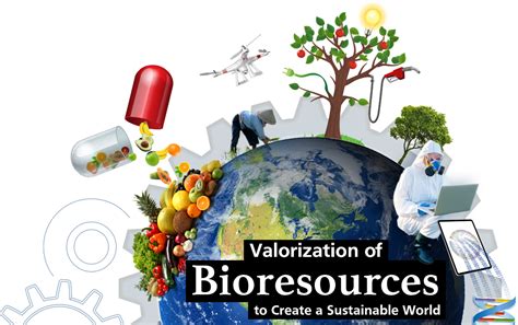 Call For Papers International Conference On Bioscience And Biorefinery