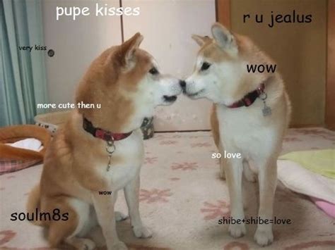 Doge Love Hehe Pinterest Doge And Love