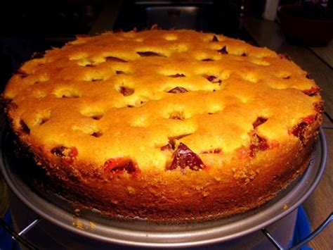 Mein Schneller Pflaumenkuchen Rezept Mit Bild Kochbar De