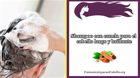 Shampoo Con Canela Y Clavo De Olor Para El Pelo Fuerte