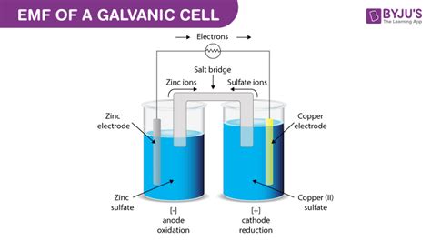 Galvanic Cell Labeled