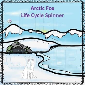 Arctic Fox Life Cycle