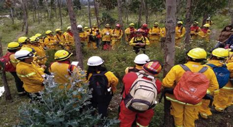 Inician Carrera Para Prevenir Incendios Forestales En Ucayali El Popular