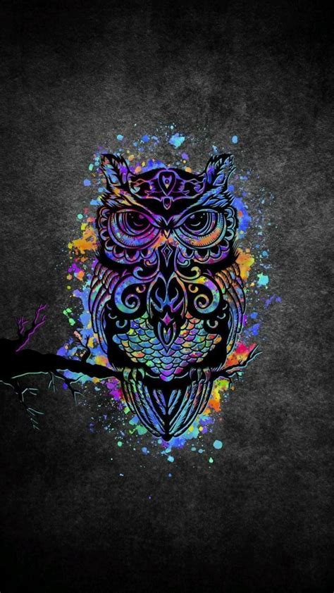 Colorful owl drawing – Artofit