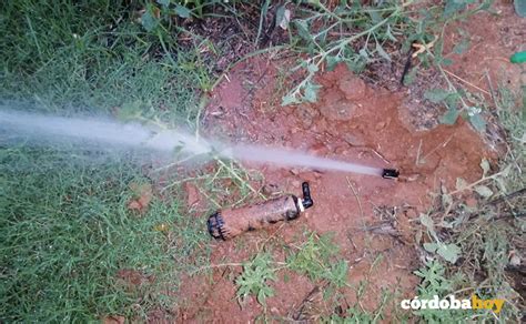 Los Actos Vand Licos Se Ceban Con Los Aspersores De Riego En El Parque