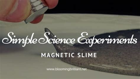 Magnetic Slime - Blooming Brilliant