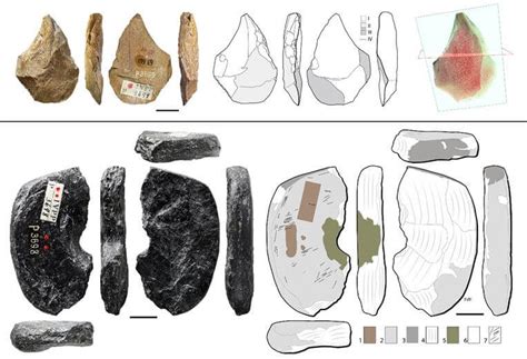 Stone Tools From 45,000 Years Ago Rewrites History of Modern Humans