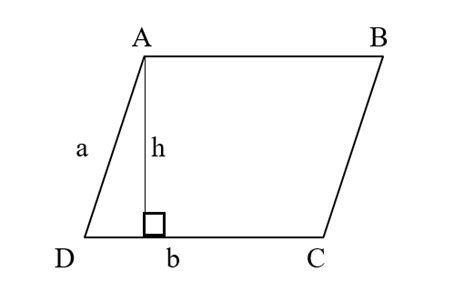 A parallelogram with all sides equal is known as,(A). Rhombus(B ...