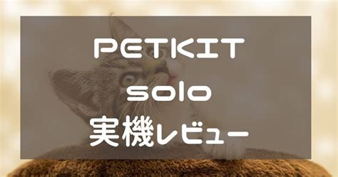 【実機レビュー】PETKIT SOLOを使って1年たった！