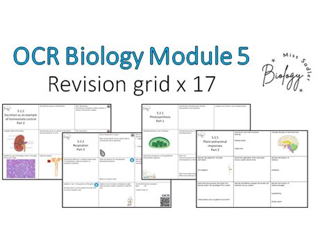 Module 5 Revision Grid Bundle OCR A Level Biology Teaching Resources