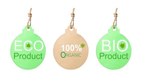 8 Facts About Green Marketing & Its Benefits - Bizadmark