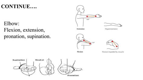 Range Of Motion Exercises And Ppt Free Download