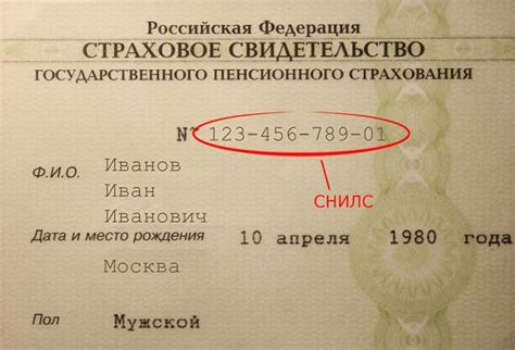 Что такое СНИЛС и как его получить: схема + видео