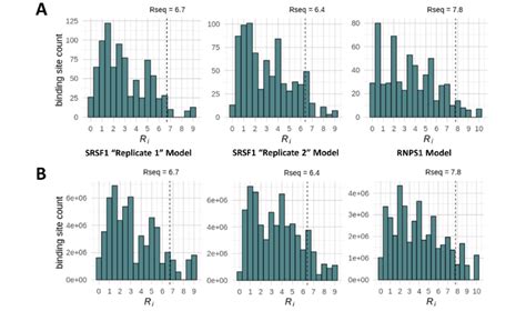 R I Of SRSF1 And RNPS1 Binding Sites In The SARS CoV 2 And Human