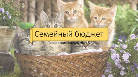 Семейный бюджет - презентация онлайн