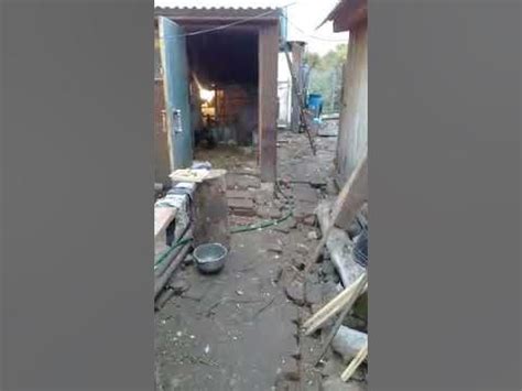 Куриные бега - YouTube