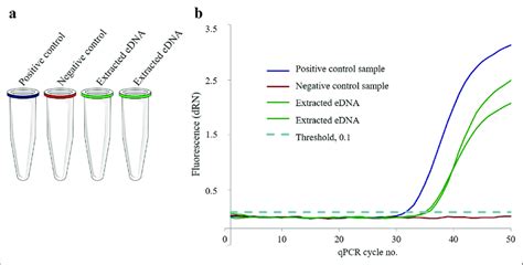 Each species-specific qPCR analysis consisted of four tubes. Along with ...