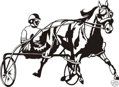 Standardbred Clipart 20 Free Cliparts Download Images On Clipground 2024